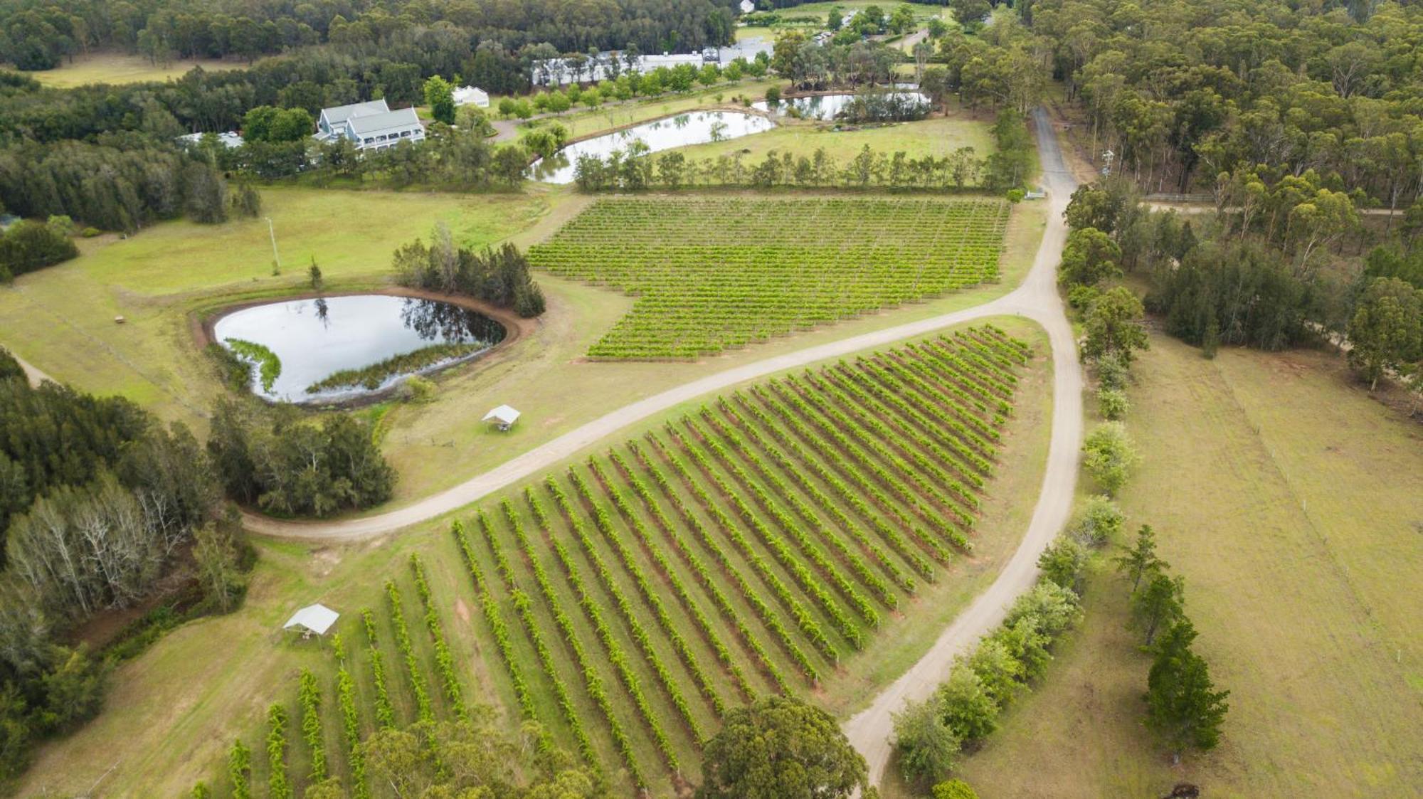 The Carriages Boutique Hotel And Vineyard ポーコルビン エクステリア 写真